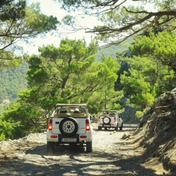 Jeep Safari in Ierapetra/Jeeps driving in a pine forest in Crete