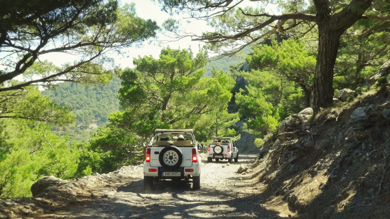Jeep Safari in Ierapetra/Jeeps driving in a pine forest in Crete