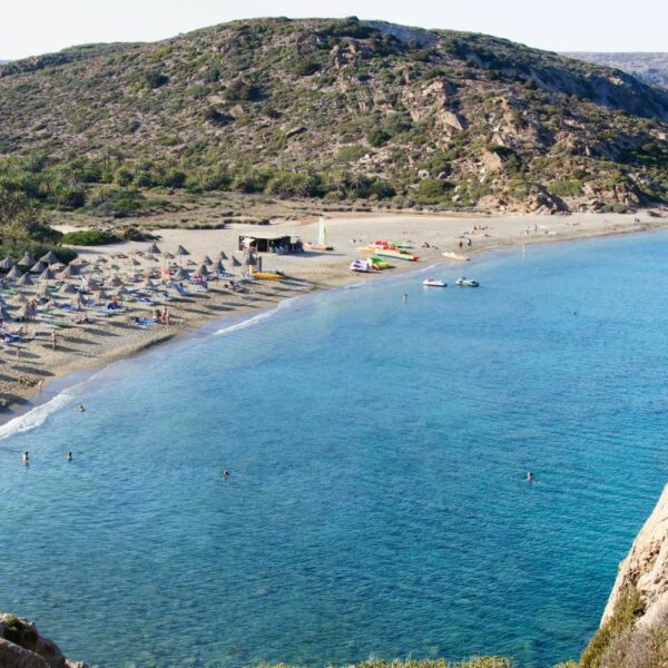 Palm beach Vai in East Crete