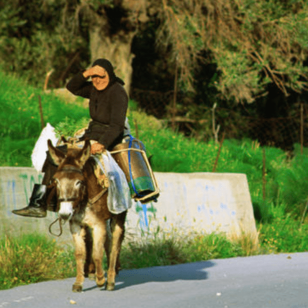An old woman riding on a donkey in Crete